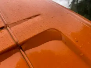 Close-up of premium 3M cast vinyl application on a truck body, demonstrating the durability required for Washington State weather and I-5 corridor travel.